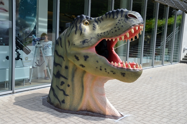 072  Uitstap Genk en Mini Europa 13-15 juli 2013 - Dinosaurussen 