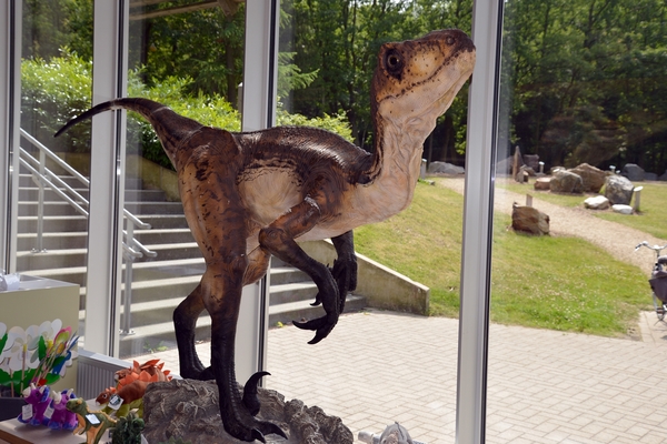 074  Uitstap Genk en Mini Europa 13-15 juli 2013 - Dinosaurussen 