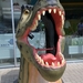 075  Uitstap Genk en Mini Europa 13-15 juli 2013 - Dinosaurussen 