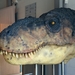 076  Uitstap Genk en Mini Europa 13-15 juli 2013 - Dinosaurussen 
