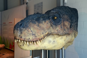 076  Uitstap Genk en Mini Europa 13-15 juli 2013 - Dinosaurussen 