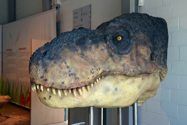 076  Uitstap Genk en Mini Europa 13-15 juli 2013 - Dinosaurussen 
