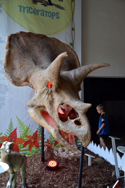 078  Uitstap Genk en Mini Europa 13-15 juli 2013 - Dinosaurussen 