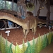 083  Uitstap Genk en Mini Europa 13-15 juli 2013 - Dinosaurussen 