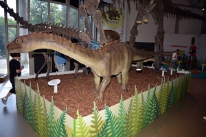 083  Uitstap Genk en Mini Europa 13-15 juli 2013 - Dinosaurussen 