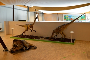 096  Uitstap Genk en Mini Europa 13-15 juli 2013 - Dinosaurussen 