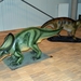 099  Uitstap Genk en Mini Europa 13-15 juli 2013 - Dinosaurussen 
