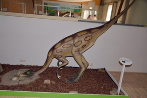 100  Uitstap Genk en Mini Europa 13-15 juli 2013 - Dinosaurussen 