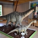 101  Uitstap Genk en Mini Europa 13-15 juli 2013 - Dinosaurussen 