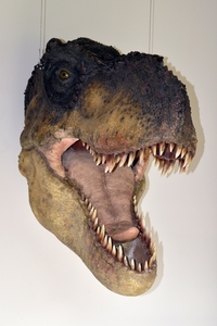 102  Uitstap Genk en Mini Europa 13-15 juli 2013 - Dinosaurussen 