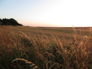 2013-07-19 Binche 007