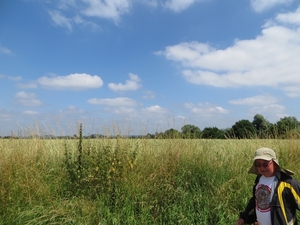 2013-07-19 Binche 037