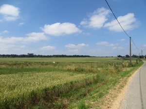 2013-07-19 Binche 038