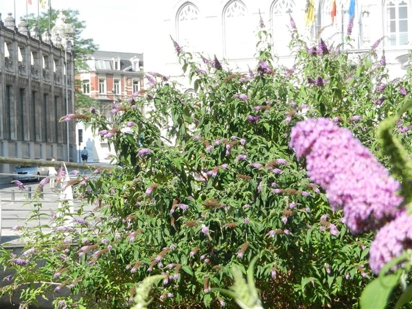 20130725.G.F. 003 (Medium)