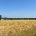 2013-07-21 Tollembeek 015