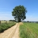 2013-07-21 Tollembeek 021