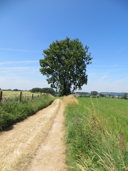 2013-07-21 Tollembeek 021