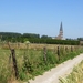 2013-07-21 Tollembeek 025