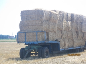Wandelen Hoevenen 21-7-2013 013