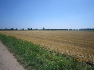 Wandelen Hoevenen 21-7-2013 014