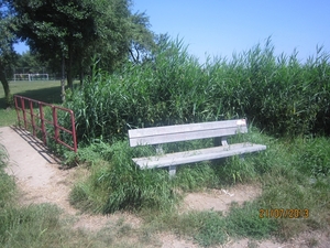 Wandelen Hoevenen 21-7-2013 015