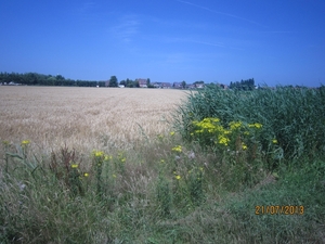 Wandelen Hoevenen 21-7-2013 017