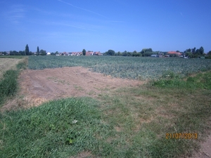 Wandelen Hoevenen 21-7-2013 018