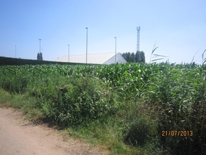 Wandelen Hoevenen 21-7-2013 019