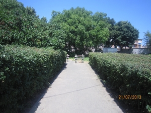 Wandelen Hoevenen 21-7-2013 026