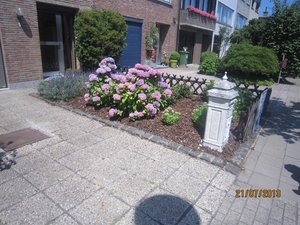 Wandelen Hoevenen 21-7-2013 030