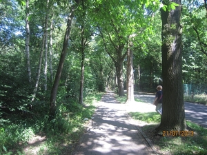 Wandelen Hoevenen 21-7-2013 034