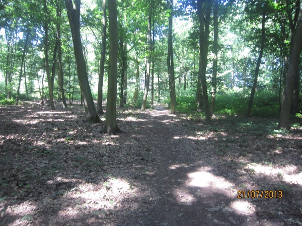 Wandelen Hoevenen 21-7-2013 038