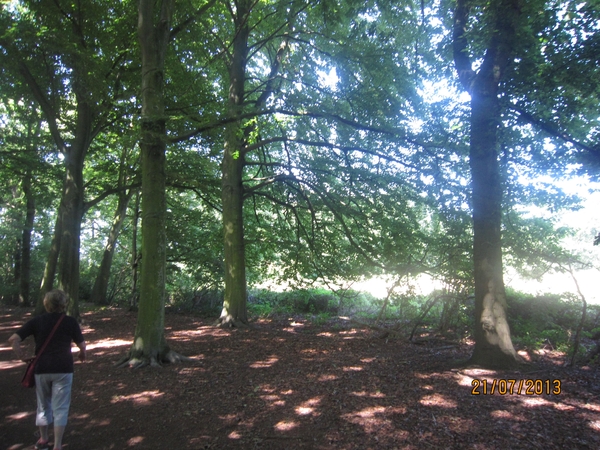 Wandelen Hoevenen 21-7-2013 046