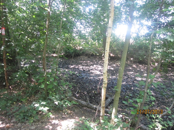 Wandelen Hoevenen 21-7-2013 048