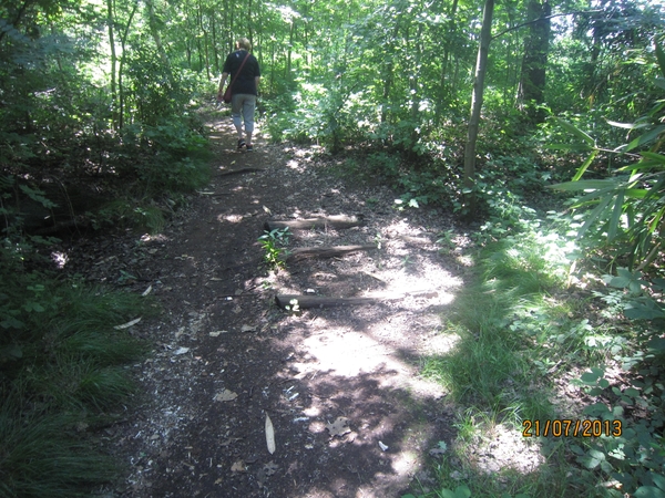 Wandelen Hoevenen 21-7-2013 049