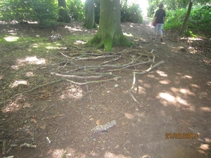 Wandelen Hoevenen 21-7-2013 051