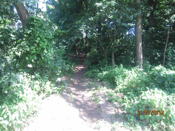 Wandelen Hoevenen 21-7-2013 052