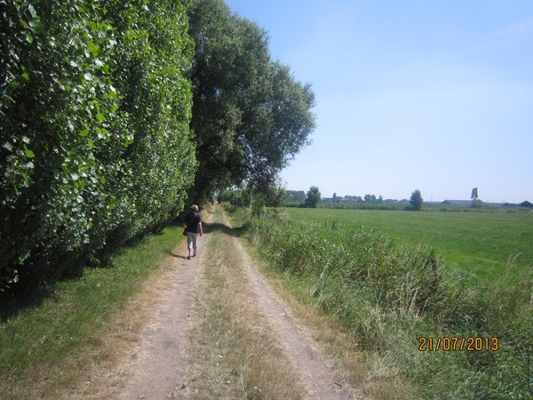 Wandelen Hoevenen 21-7-2013 066