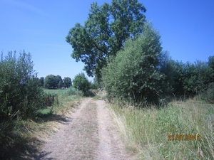 Wandelen Hoevenen 21-7-2013 067