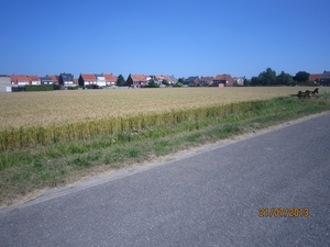 Wandelen Hoevenen 21-7-2013 071