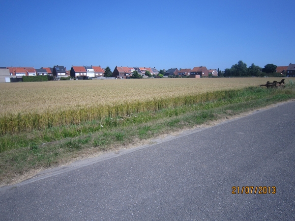 Wandelen Hoevenen 21-7-2013 071