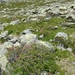P1030324