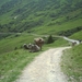 PICT0016
