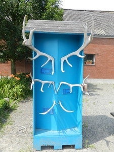 DSCN2951