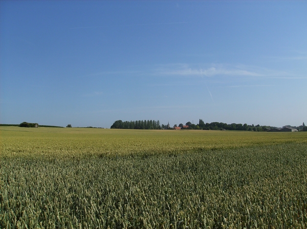 Bottelare Juli 2013 008