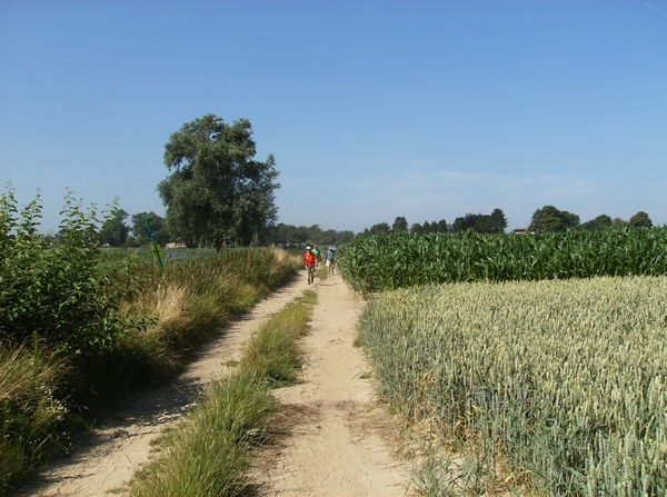 Bottelare Juli 2013 009