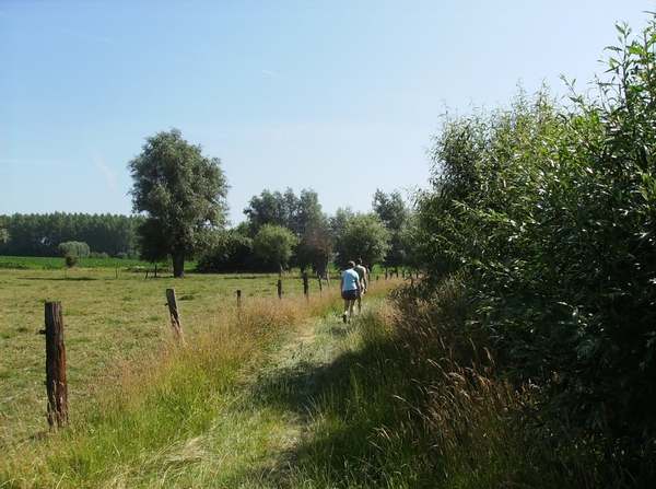 Bottelare Juli 2013 016