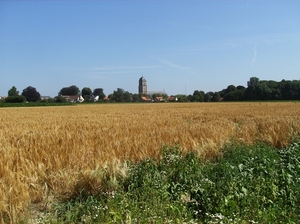 Bottelare Juli 2013 020