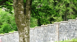 179-IMG_0225