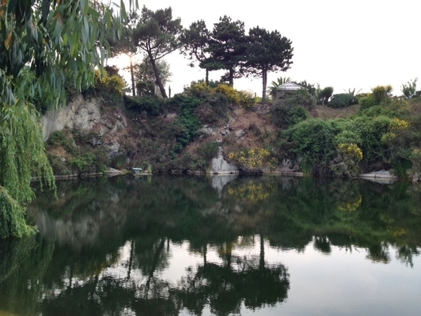 Frankrijk  Erik-Simone- Mathijs - Amber.